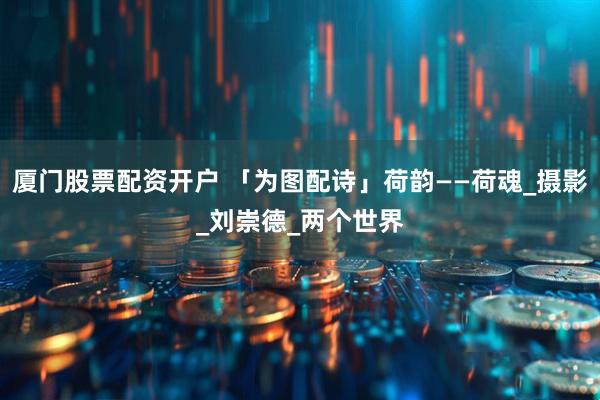 厦门股票配资开户 「为图配诗」荷韵——荷魂_摄影_刘崇德_两个世界