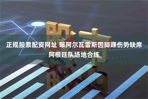 正规股票配资网址 曝阿尔瓦雷斯因脚踝伤势缺席阿根廷队场地合练