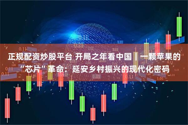 正规配资炒股平台 开局之年看中国｜一颗苹果的“芯片”革命：延安乡村振兴的现代化密码